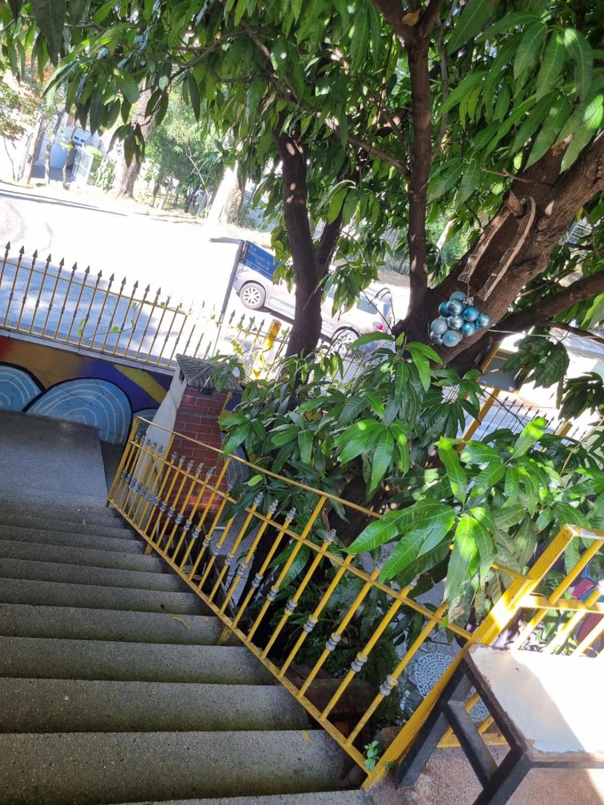Hostel Dumah